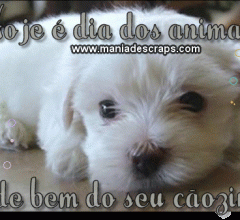 de animais