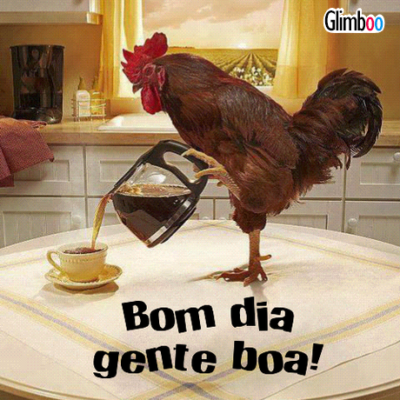 imagens de bom dia divertidas para enviar no whatsapp