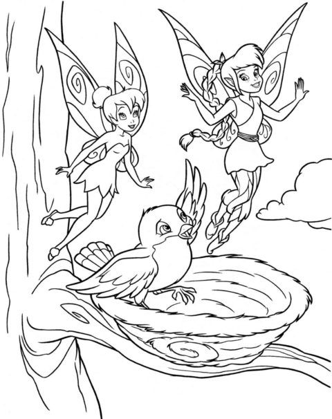 desenhos-da-tinkerbell-para-colorir-16